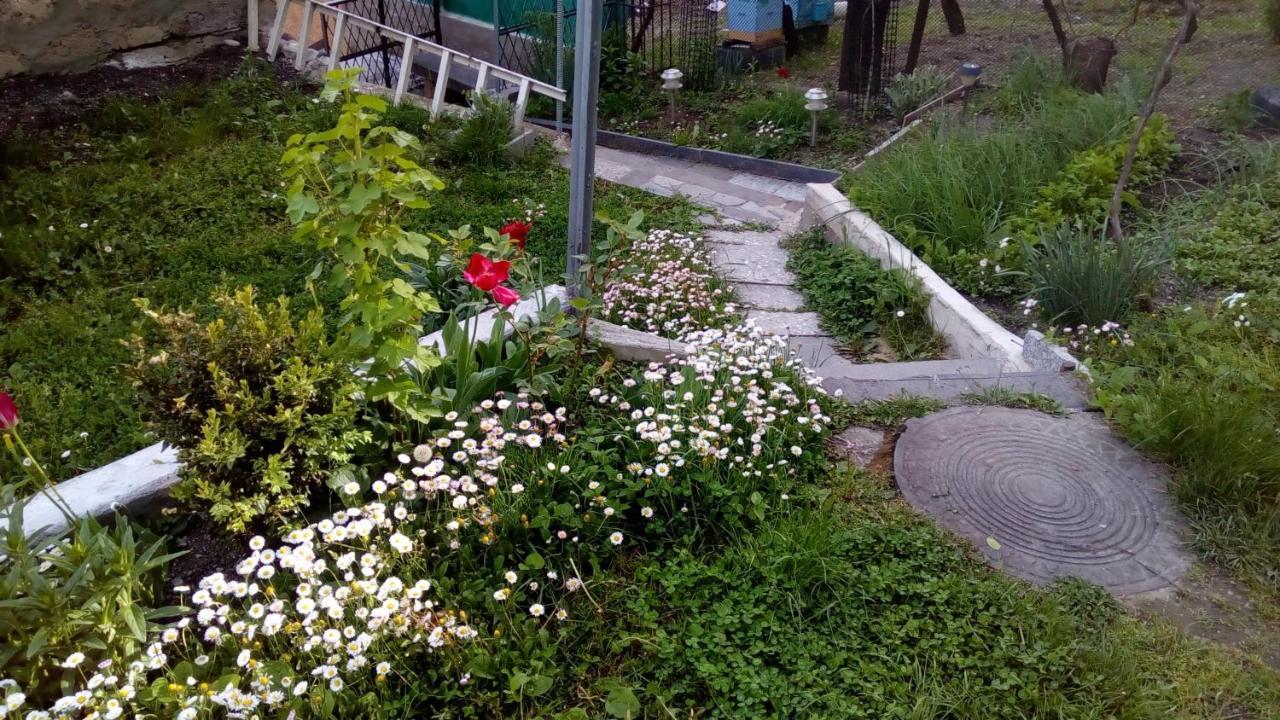 Guest House Khatuna Borjomi Exterior photo